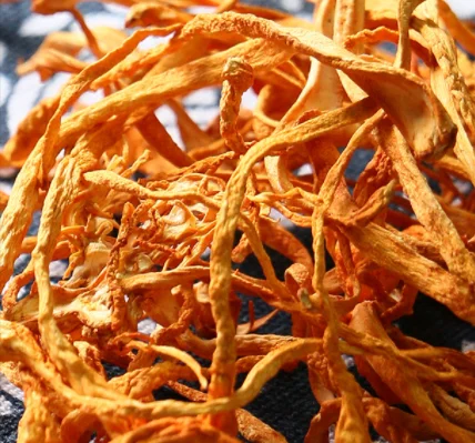 
Organic Cordyceps Militaris Powder 