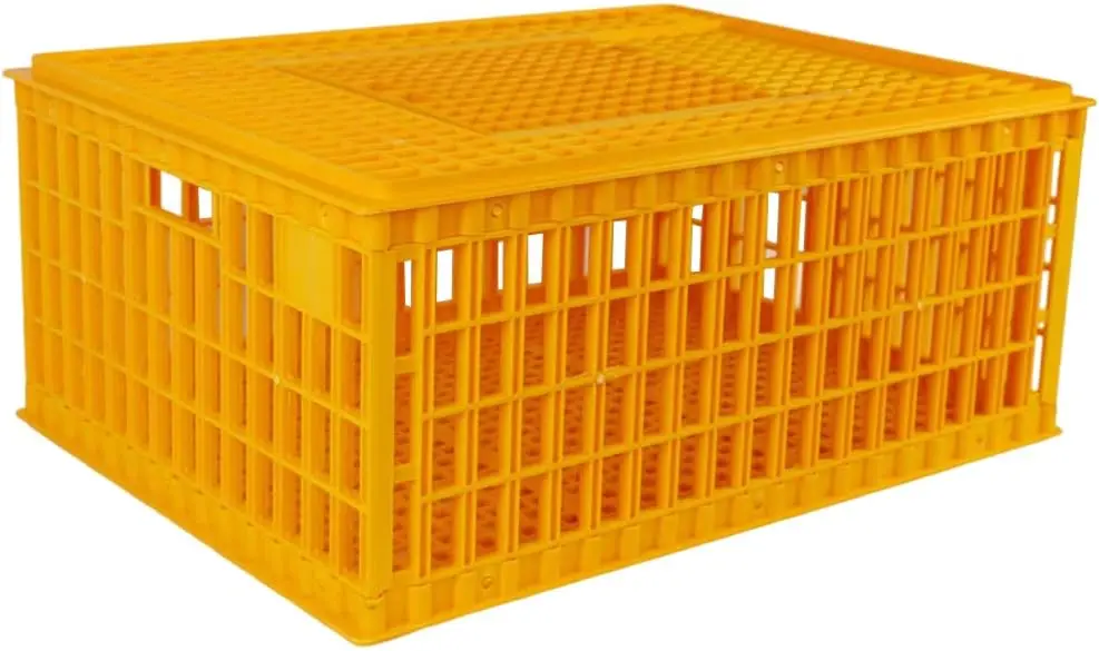 live chicken transport cage poultry plastic transport crate for duck chicken pigeon