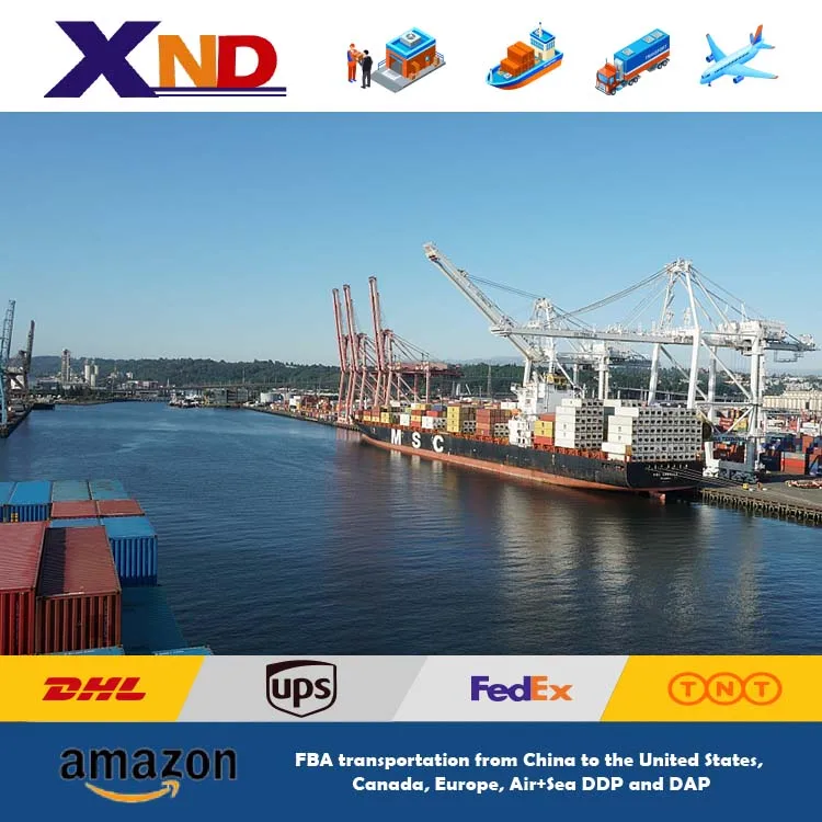 Cheap shipping cost logistics service china shipping sea freight forwarder dropshipping agent amazon FBA to USA
