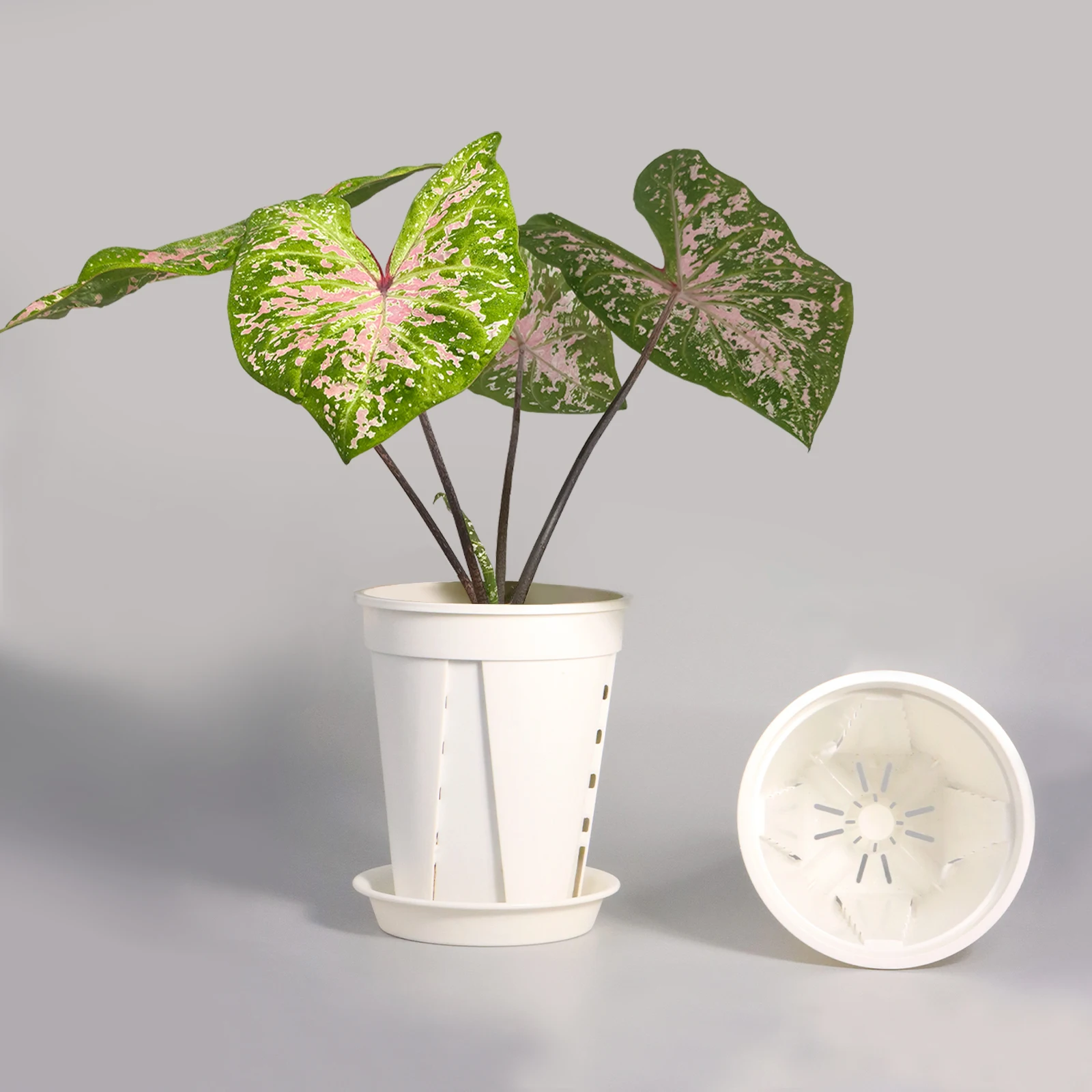 Plastic Transparent Flower Pots Orchids Grow Breathable Root Control Special Plant Pots Side Hole