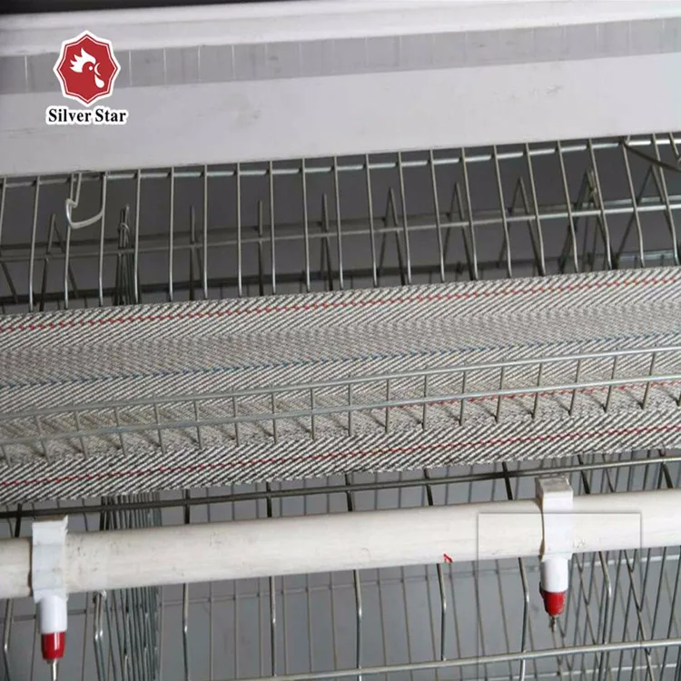 2024 New Automatic Battery Cage H Type Layer Chicken Coop with Galvanized Steel Material for chicken farm