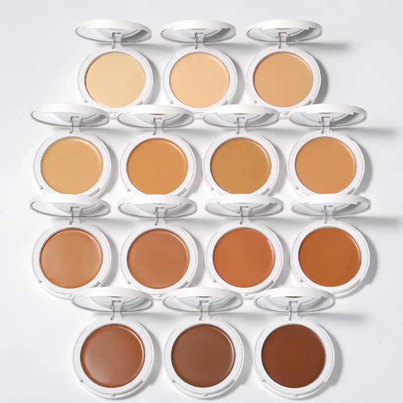 CC Cream Foundation Custom Logo Full Coverage Waterproof High Definition Concealer Foundation Cream Powder Foundation Makeup