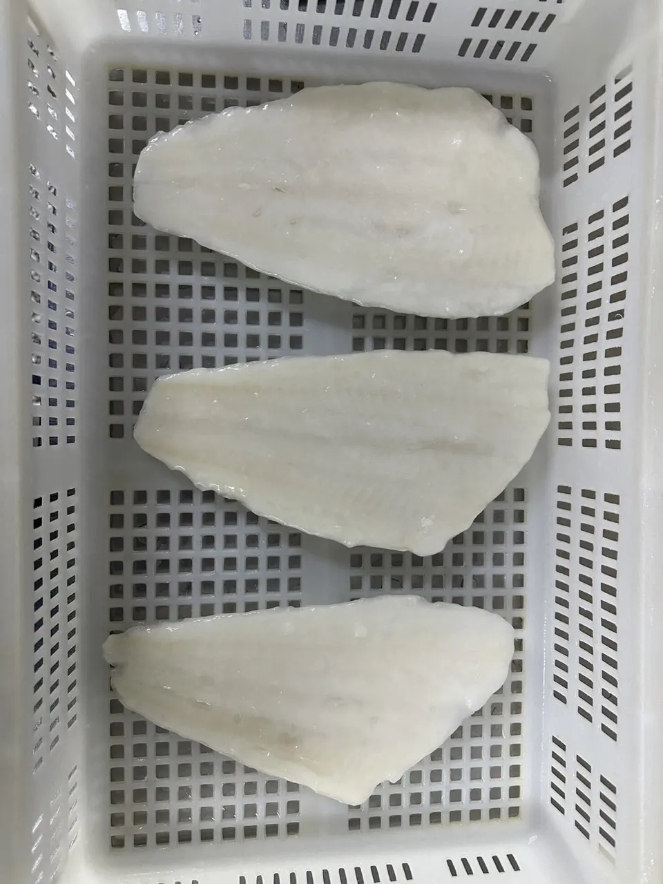 FROZEN ARROWTOOTH FLOUNDER FILLET OF ATTRACTIVE PRICE AND QUALITY