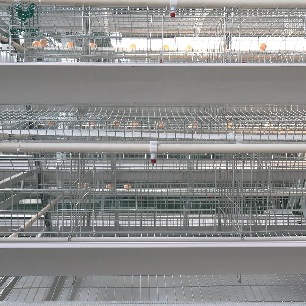 Fully Automatic Poultry Farming Equipment H Type Laying Hens Cage Battery System Egg Layer Chicken Cages