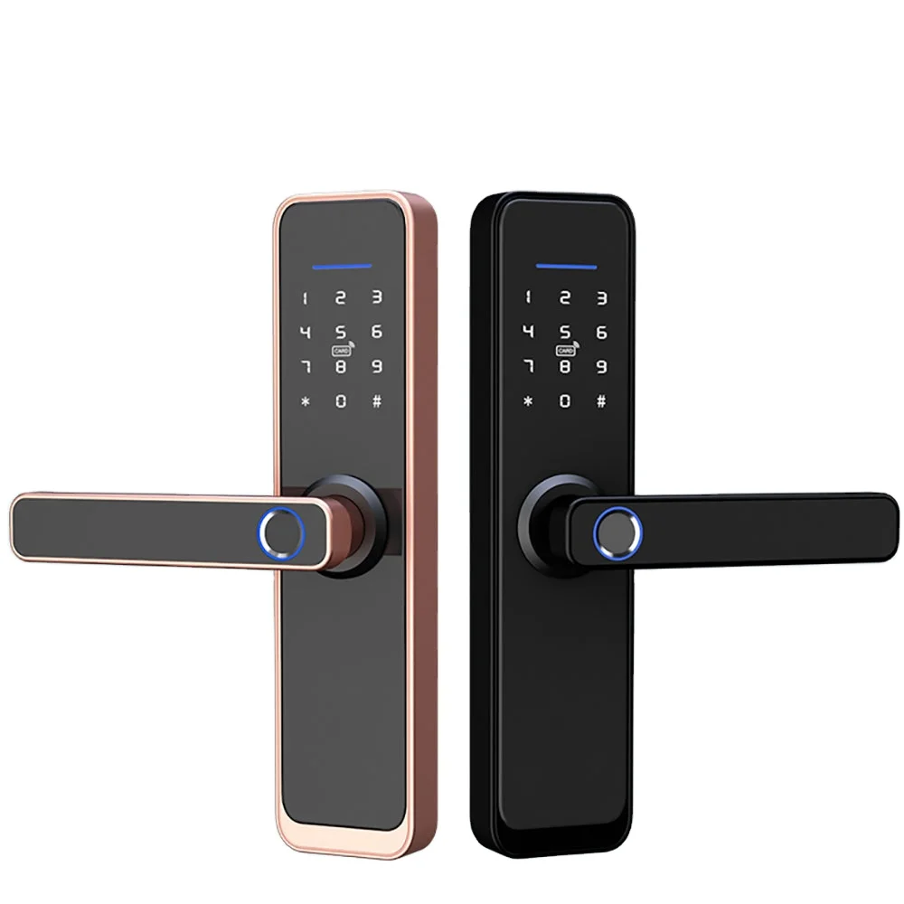 biometric security electric password Lock intelligent safety digital fingerprint door smart locks