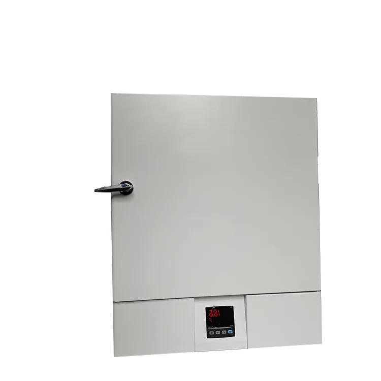 High Quality Low Price Laboratory Price Desiccant Vacuum Chamber Drying Oven