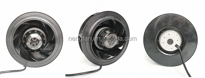 IMG_20201208_120349 - .jpg