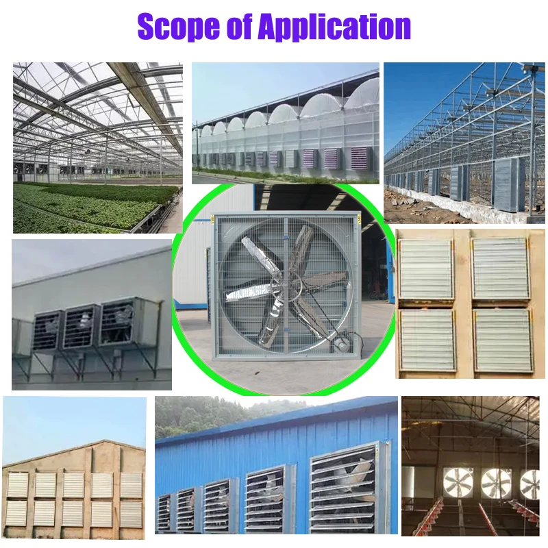 Variable Sizes Poultry  Fan  Industrial Ventilation Exhaust fan For Dairy greenhouses Agriculture For Sale