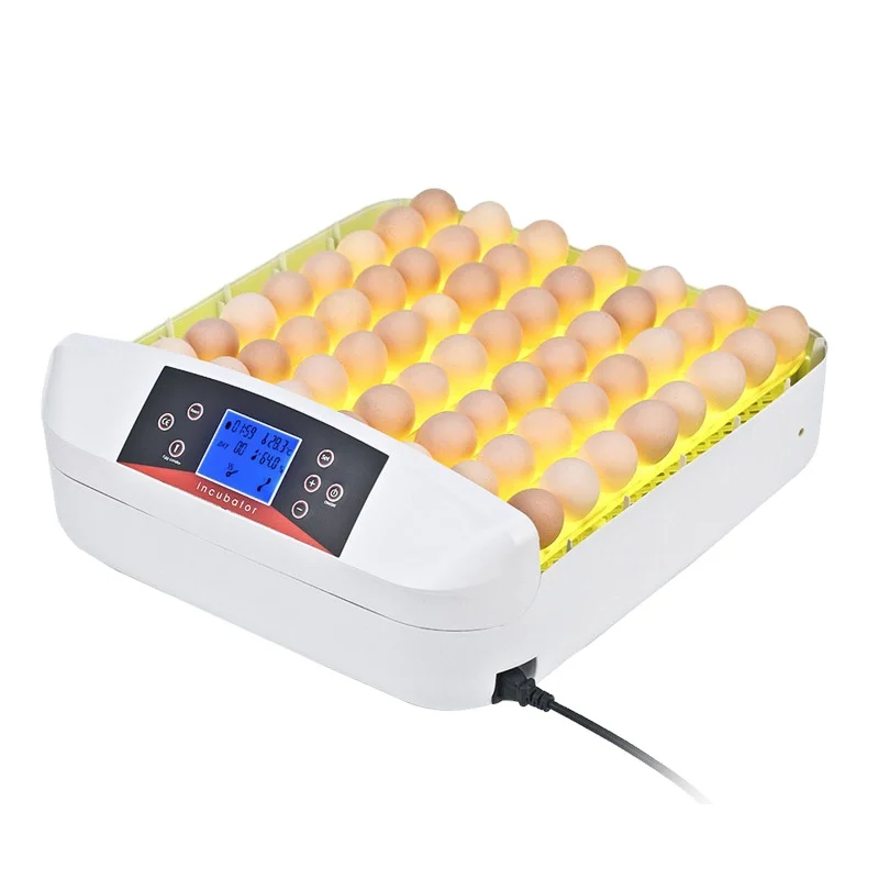 CE Approved WONEGG High Hatching Rate EW-56S Chicken Eggs Incubator Automatic Egg Turning Transparent Cover Mini Incubator