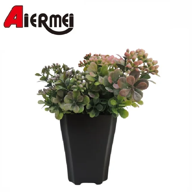 2021 Plastic Plant Garden Pots Flower Pot in Bulk