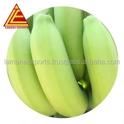 Fresh Cavendish banana for Export Vietnam Malaysia Singapore