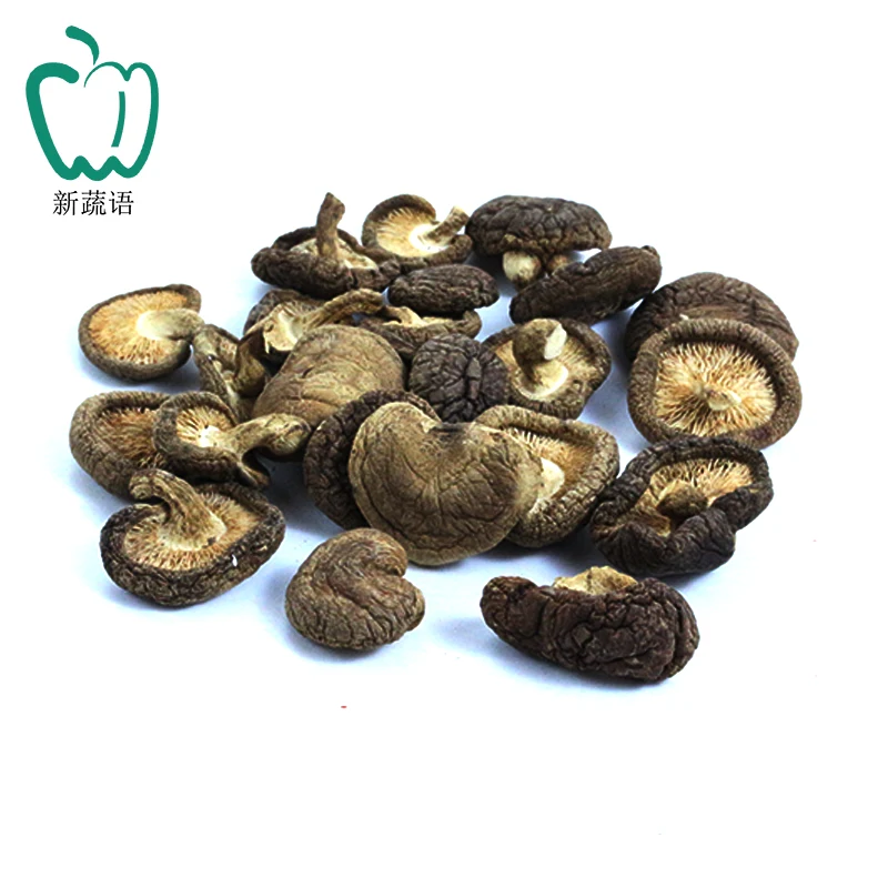  China dehydrated vegetables factory wholesale good price magic flower shiitake 6cm dried flakes