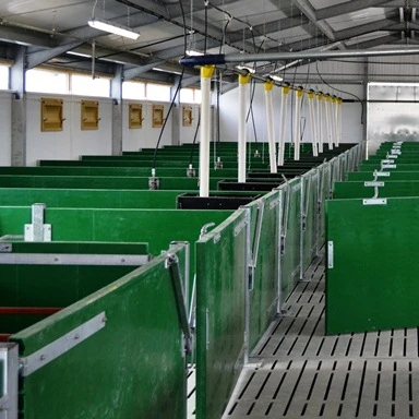 steel structure pig shed house