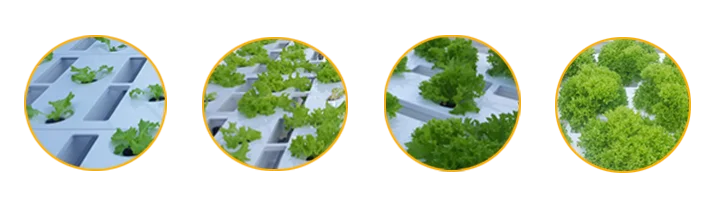 Plant growth light.png