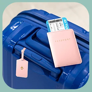 BSBH Cheap Price Custom PU Leather Passport Holder Luggage Tag Set Gift Box Packing For Travel Wallet Bag Suitcase ID Name Tag