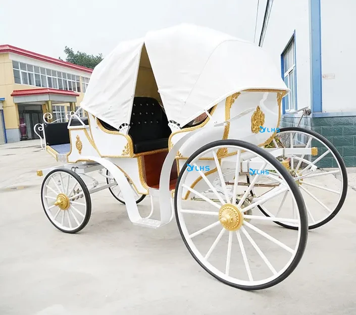 Special transportation for sightseeing electric tourist horse buggy carriage royal horse carriage manufacturer