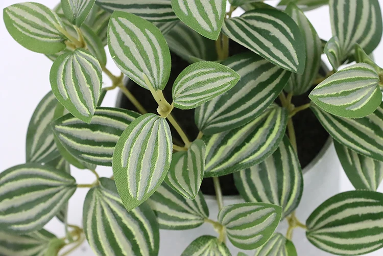 Simulate plastic decoration small bonsai artificial potted plants decoration 16cm Peperomia in melamine pot