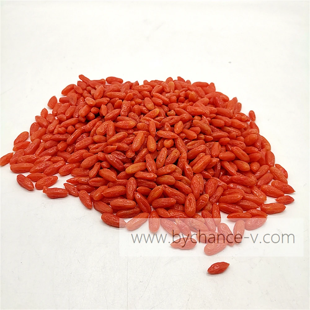 Ready to ship artificial mini fruit red berry Goji wolfberry for pharmacy health foods Ads marketing promo props