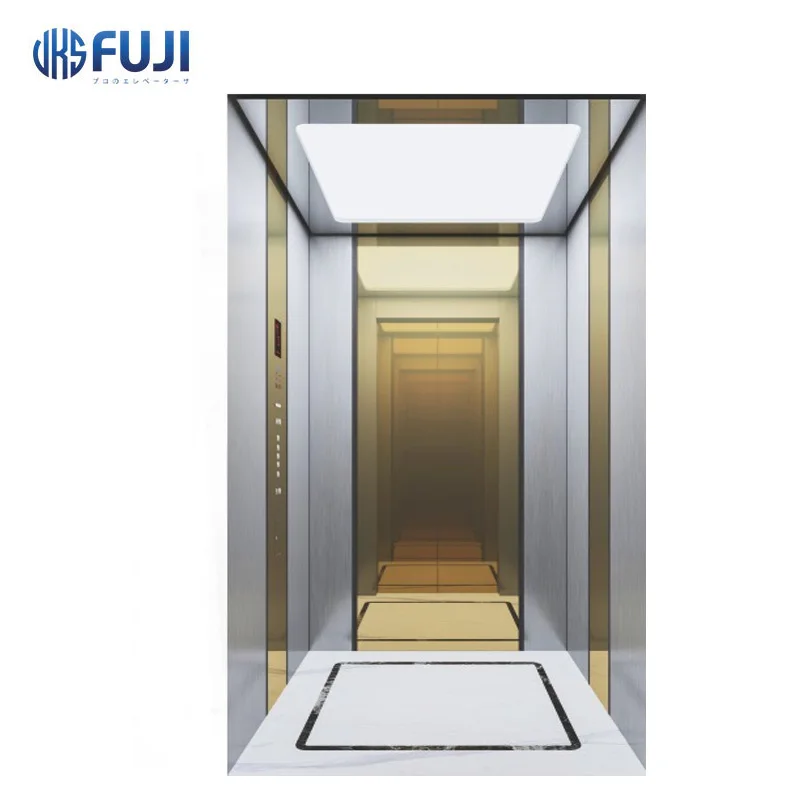 320kg monarch control system passenger elevator small machine roomhome elevator for best sale