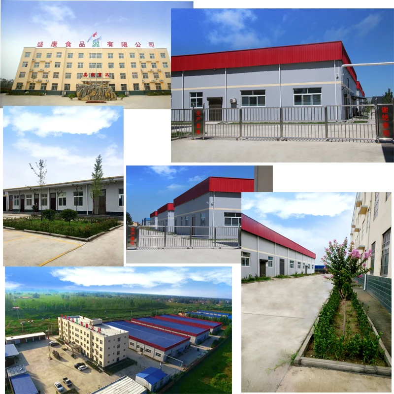 supplying bulk salted quail eggs from canned factory Canned quail eggs in cartons