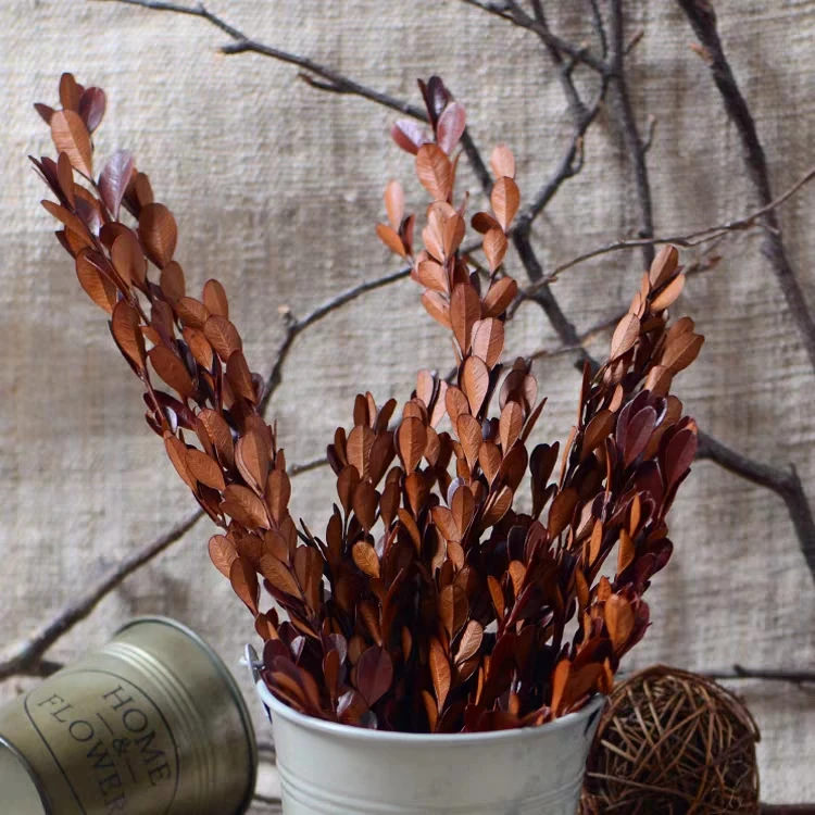 China supply small preserved leaves boxwood leaves green leaves Buxus sinica for bouquet