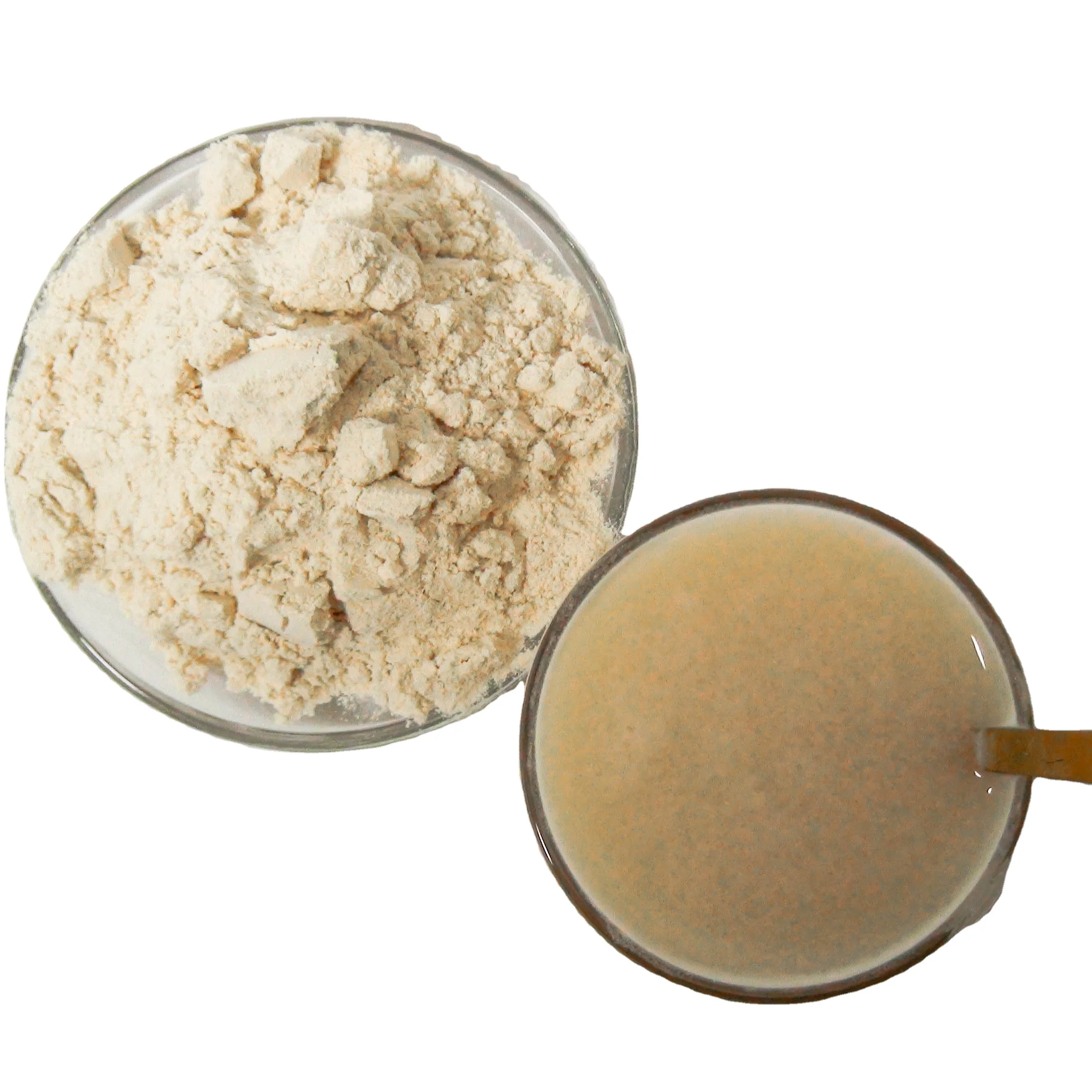 Wholesale High Quality OEM Price No Sugar Sport Whey Protein Powder Golden Standard Bulk For Food