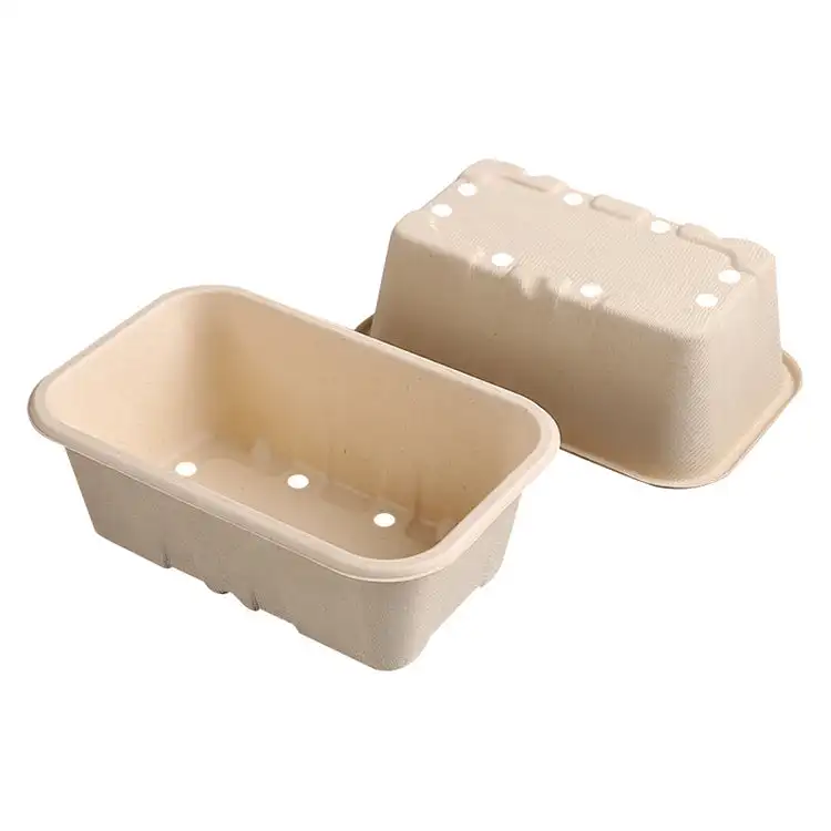 Manufacture Factory compostable Biodegradable Bagasse Packaging disposable sugarcane Buger pulp paper box
