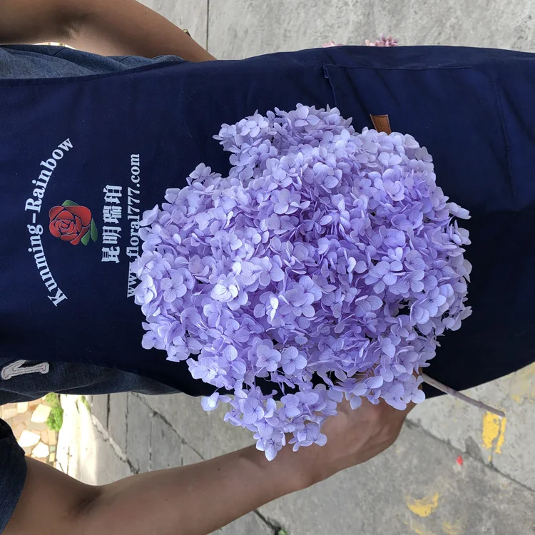 Home Wedding Decorations the Real Touch Natural Dried Hydrangeas flowers artificial Preserved Hydrangeas