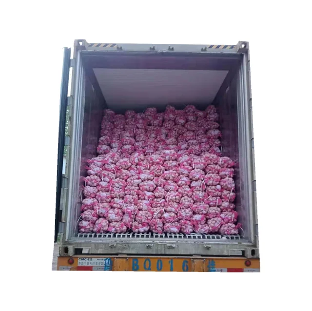 2021 High Quality Purple Fresh Garlic In Bulk/Alho/Ail/Ajos Chinos Frescos Wuppliers With Competitive Price