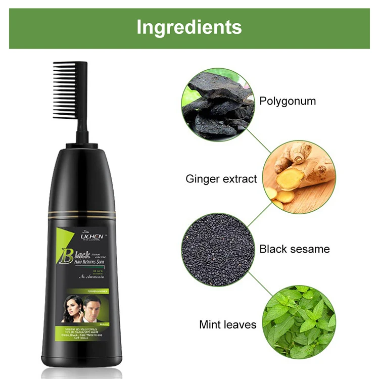 OEM ODM Bulk Hair Color Shampoo Natural Argan Oil Base Henna Hair Dye Comb with Gloves Provided