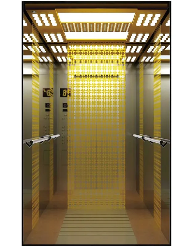 China Machine Room Elevator Villa Passenger Elevator