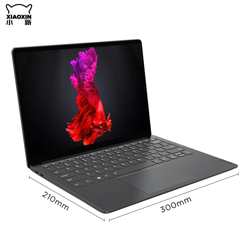Lenovo xiaoxin Pro 13 laptop  Ryzen 46000U/4800U CPU 16GB RAM 512GB SSD 13.3 inch notebook computer full screen ultraslim lapto