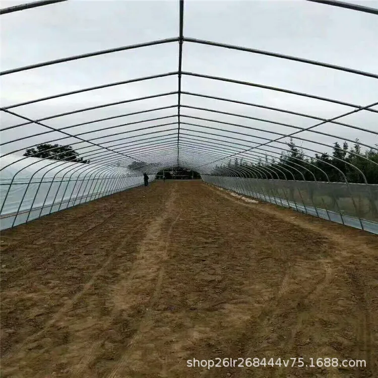 Agriculture Tomato Greenhouse Frames Plastic Film Single Span Tunnel Greenhouses for plant