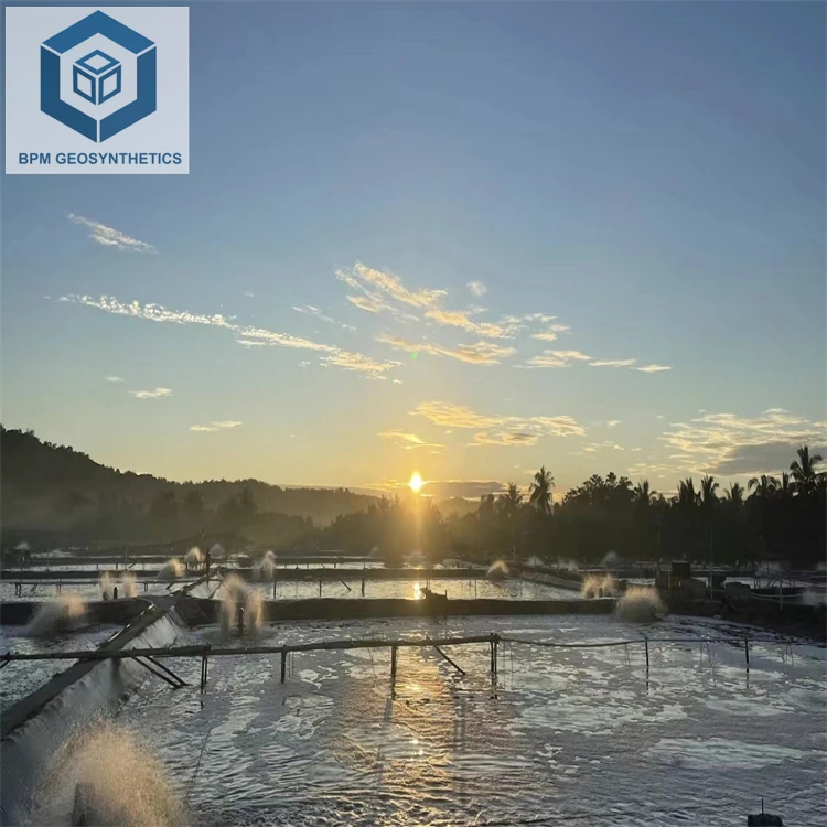 Pond Membrane Liner High Density Pond Liner for Aquaculture Shrimp in Ecuador