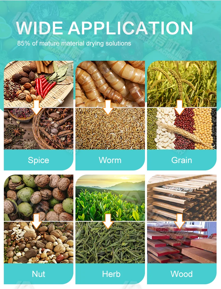 Microwave Drying Food BSF Larvae Production Process Machine Mealworm Shrimp Sea Cucumber Meat Dryer Equipment