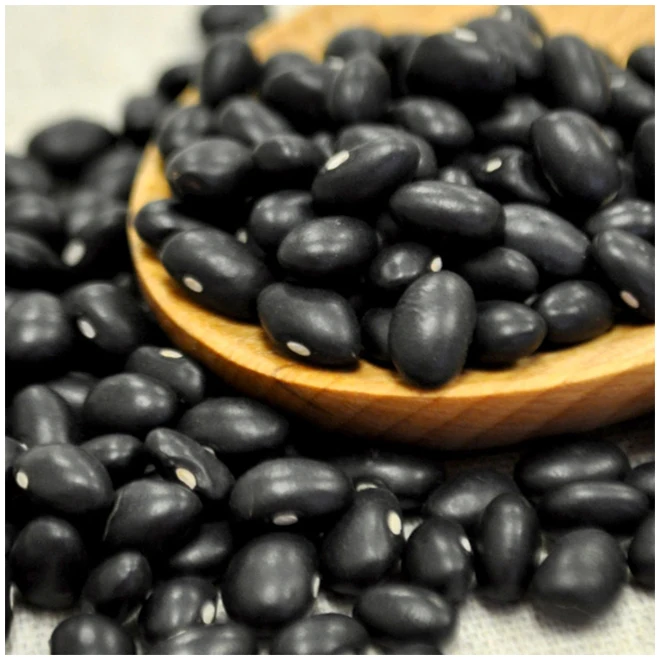 Conventional Premium Black Kidney Beans - High Quality, Best Price, Directly From Producers In Mexico