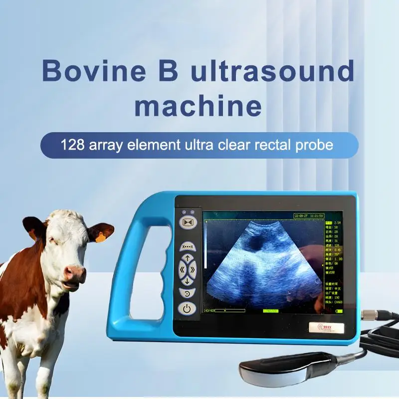 Ультразвуковой сканер Bovine B