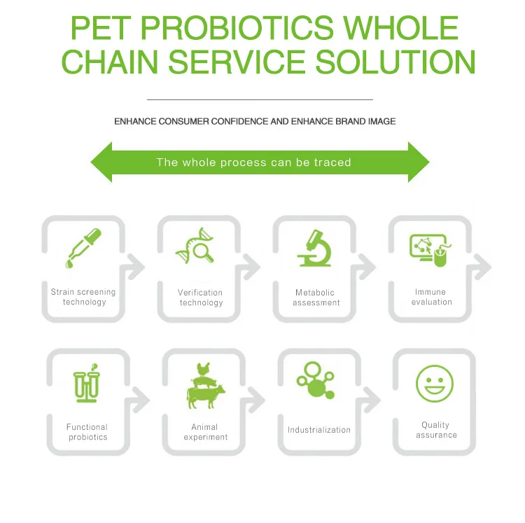 Low price enhance immunity pet dog probiotics freeze dried powder for digestive
