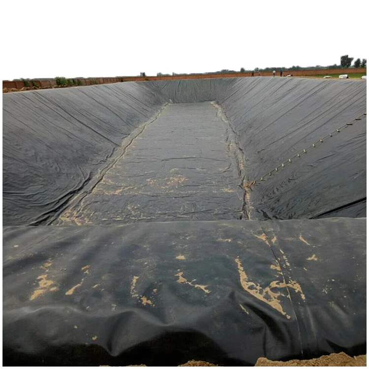 ASTM 10 мм геомембрана для рыбной креветки пруд лайнер Hdpe