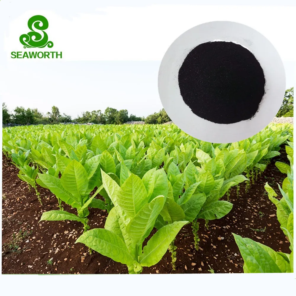 Discount granular kelp fertiliser with low price