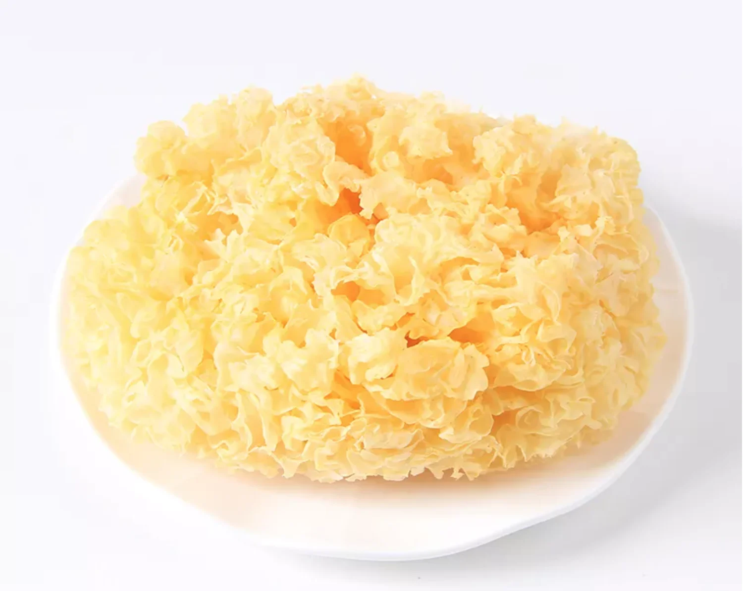 2021 New Wholesale Edible Magic Mushrooms Fresh Dried Organic Tremella