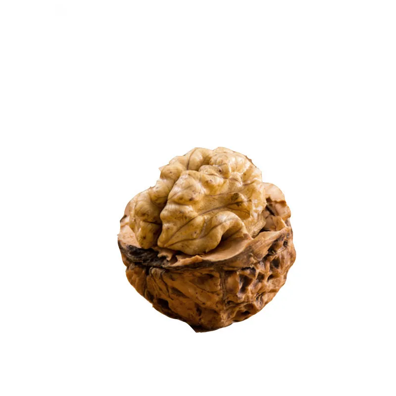 hot selling Organic delicious natural nutd Walnuts Kernels walnut without shell