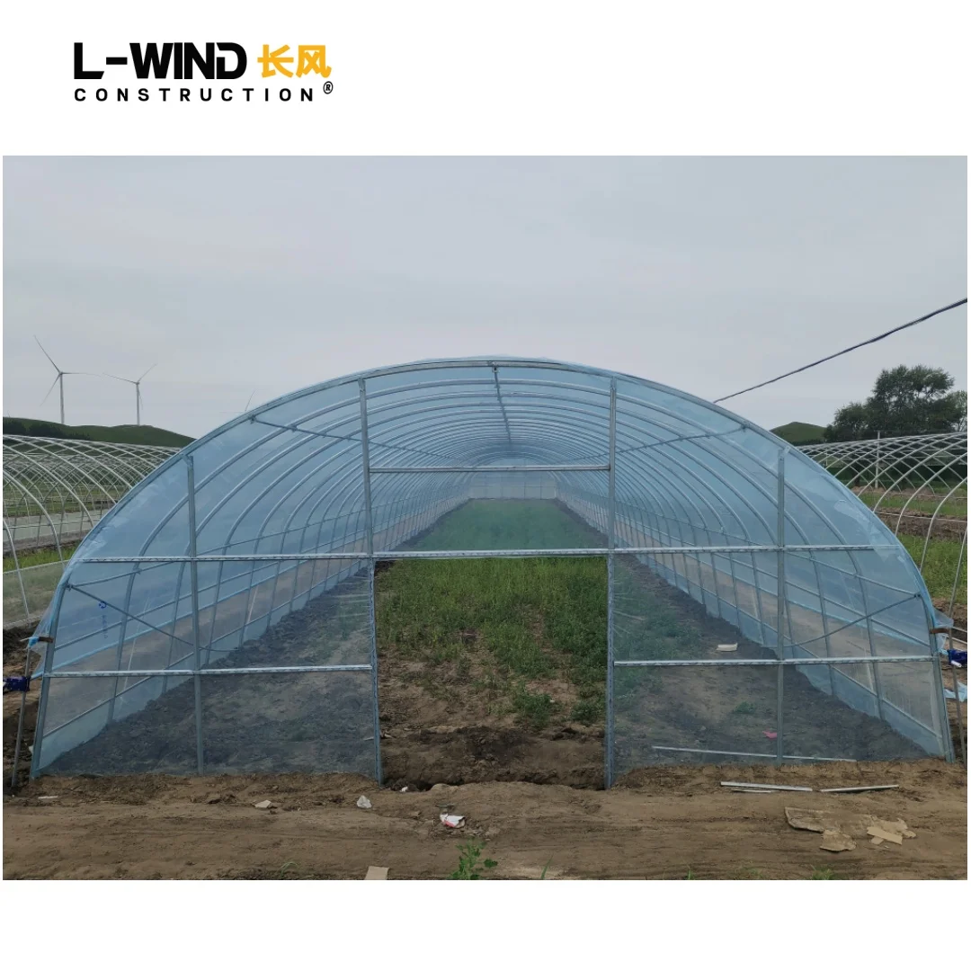 Vegetables Farming Film Plastic Single Span Tunnel Agriculture Greenhouse Hoop House