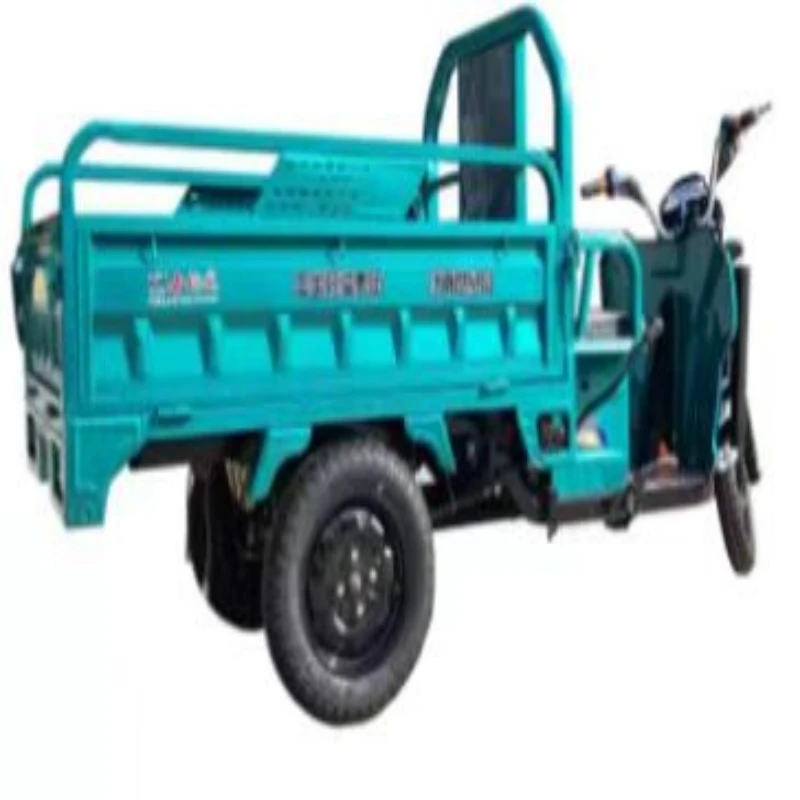 2022 China cheaper adult tricycle 60V 20Ah-50Ah electric tricycle with cargo electric motorcycle EU warehouse spot sale