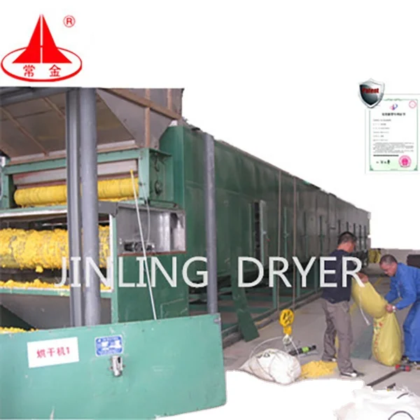 High performance DWF SS304/SS316L material wholesale hemp belt dryer machine