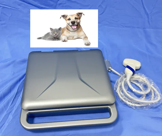 Medical 12 inches High Quality Laptop Ultrasonic Full Digital Ultrasound Machine for Veterinary