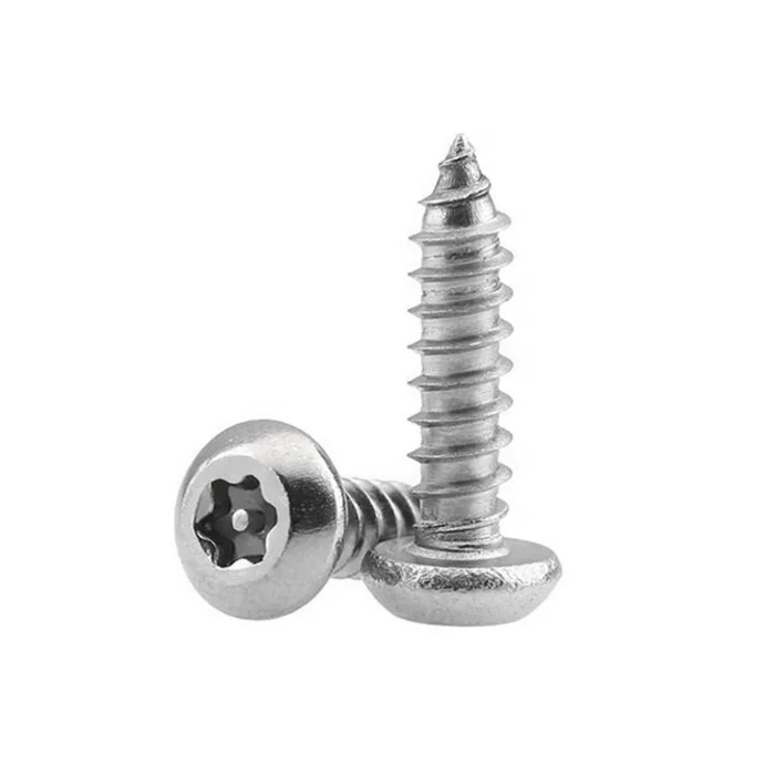 ISO 14585 SS 304 316 Torx Socket Pan Head Tapping Screws
