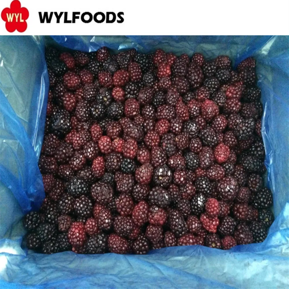 Органическая IQF замороженная ежевика оптом супер вкусная упаковка для хранения воды с цельным рисунком