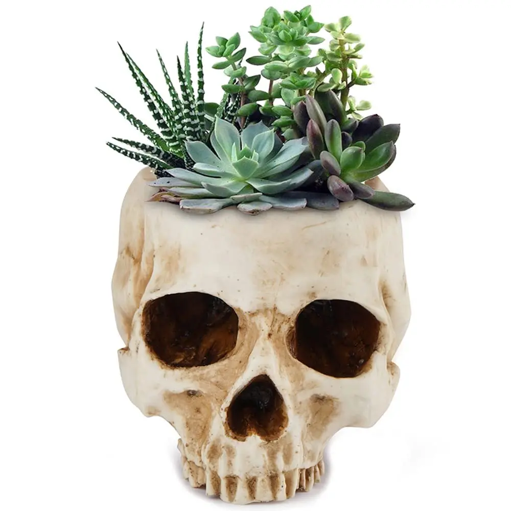 Home Office Desk Decor Skull Planter Resin Skull Flower Pots For Halloween Ornaments