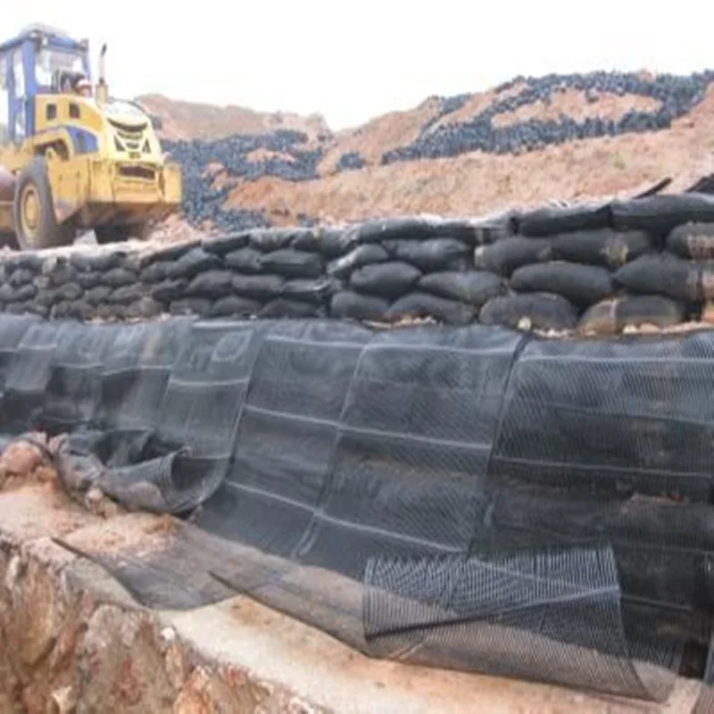 Георешетка для земляных работ HDPE одноосная пластиковая георешетка/PP Двухосные георешетки